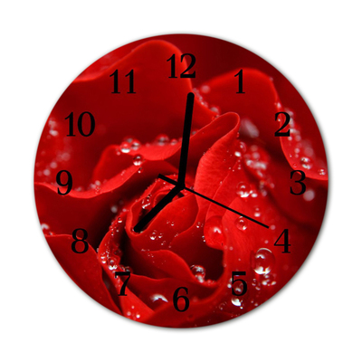 Reloj de vidrio para cocina Rosa