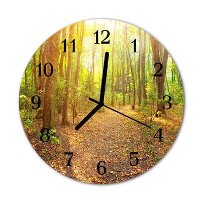 Reloj de vidrio para cocina Camino en el bosque