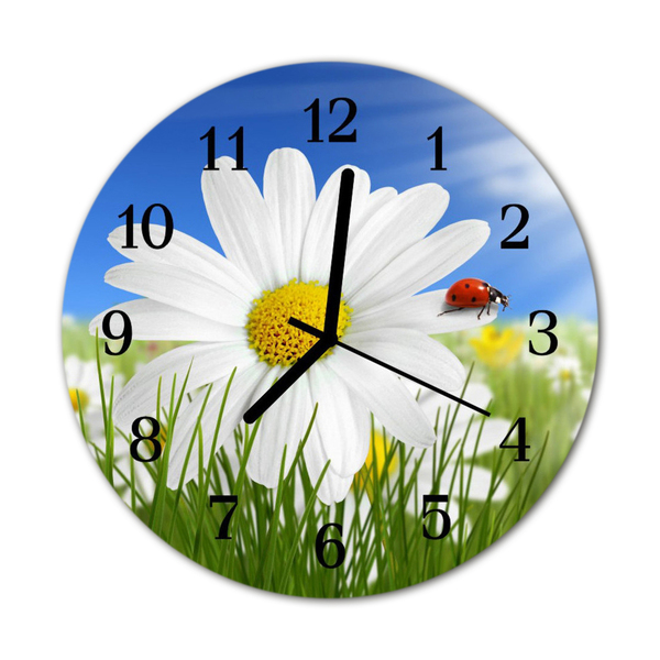 Reloj de vidrio para cocina Mariquita flor