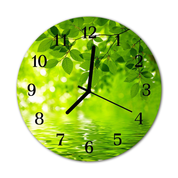 Reloj de vidrio para cocina Hojas
