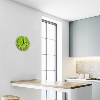 Reloj de vidrio para cocina Bambú planta