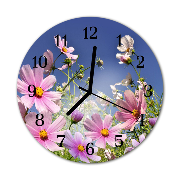 Reloj de vidrio para cocina Cosmos flores