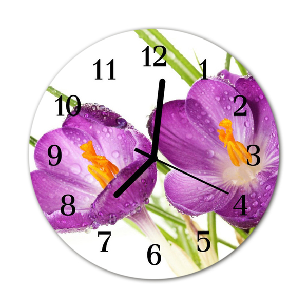 Reloj de vidrio para cocina Crocus