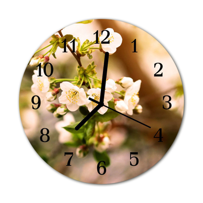 Reloj de vidrio Naturaleza