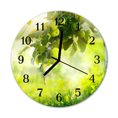 Reloj de vidrio Manzano