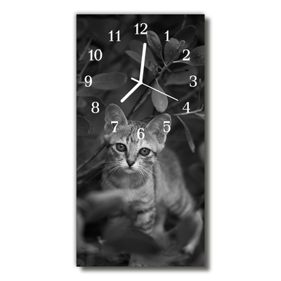Reloj de vidrio para cocina Animales gato animales gris