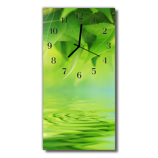 Reloj de vidrio para cocina Naturaleza hojas aguas verde
