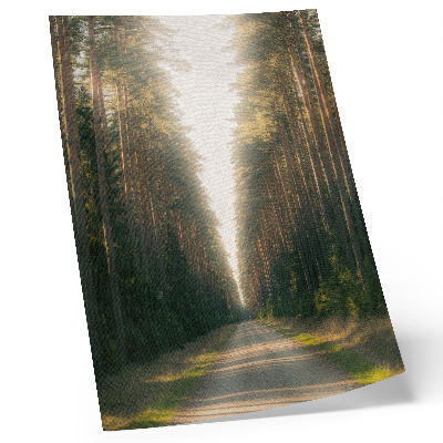 Lienzo decorativo moderno Un fabuloso sendero forestal con árboles altos.