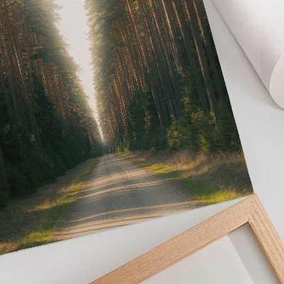 Lienzo decorativo moderno Un fabuloso sendero forestal con árboles altos.