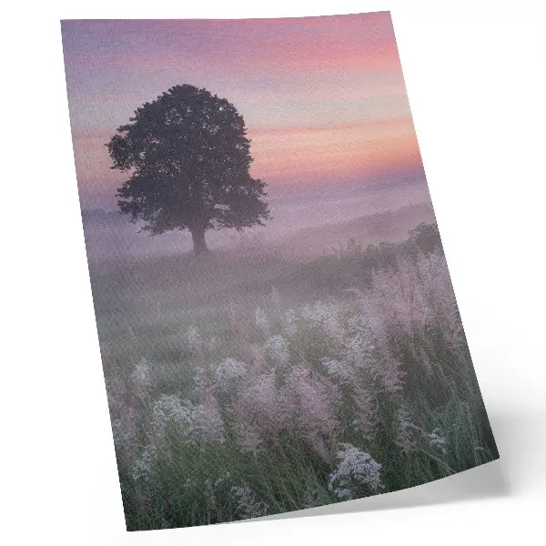 Lámina artística de alta calidad árbol solitario en la niebla con tonos pastel