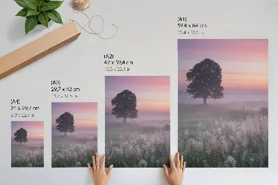 Lámina artística de alta calidad árbol solitario en la niebla con tonos pastel