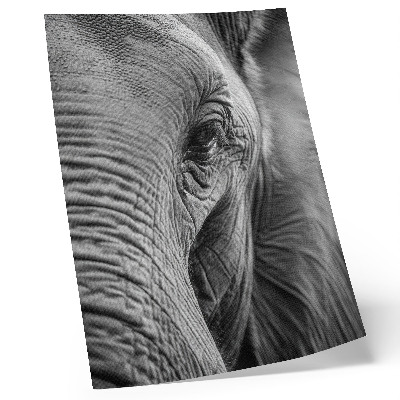 Póster el ojo de un elefante con texturas de armonía y paz