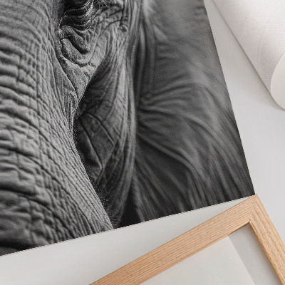 Póster el ojo de un elefante con texturas de armonía y paz