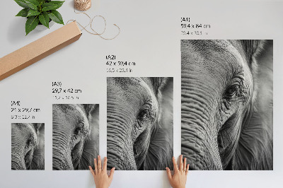 Póster el ojo de un elefante con texturas de armonía y paz