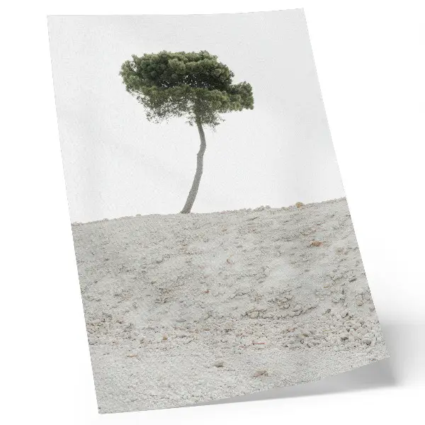 Póster árbol solitario sobre fondo claro con diseño minimalista