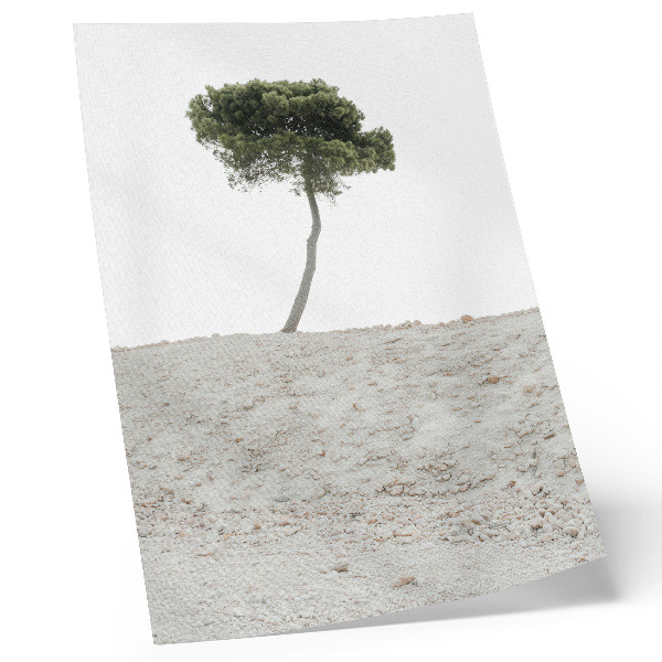 Póster Árbol solitario sobre fondo claro, minimalismo