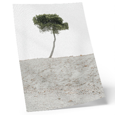 Póster Árbol solitario sobre fondo claro, minimalismo
