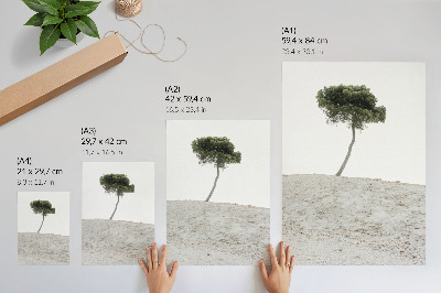 Póster Árbol solitario sobre fondo claro, minimalismo