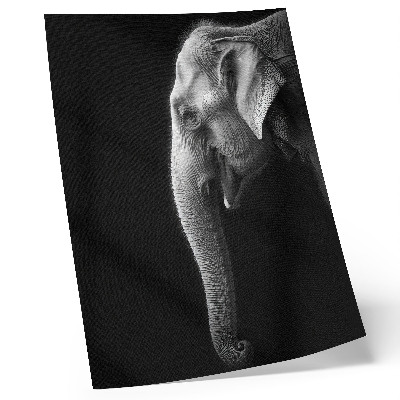 Lienzo decorativo moderno retrato monocromático de un elefante de perfil