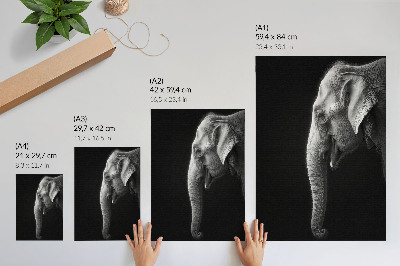 Lienzo decorativo moderno retrato monocromático de un elefante de perfil