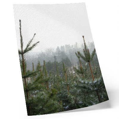 Lámina artística de alta calidad Pinos verdes, niebla, profundidad sutil, ambiente relajante