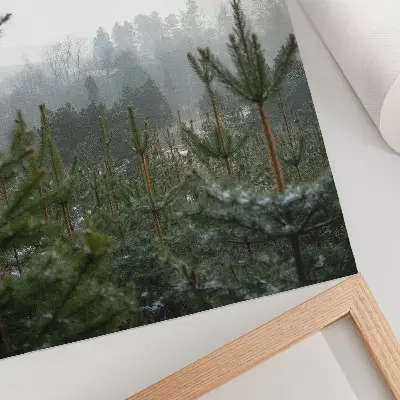 Lámina artística de alta calidad pinos verdes en medio de la niebla con una sutil profundidad y un ambiente relajante