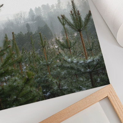 Lámina artística de alta calidad Pinos verdes, niebla, profundidad sutil, ambiente relajante