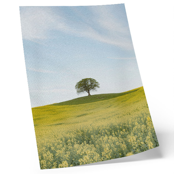 Póster con colores saturados Un árbol en una colina en un campo amarillo