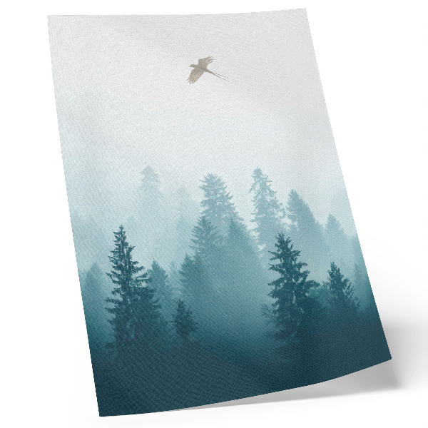 Póster con colores saturados Un ave del bosque de niebla suave se eleva muy por encima de los árboles
