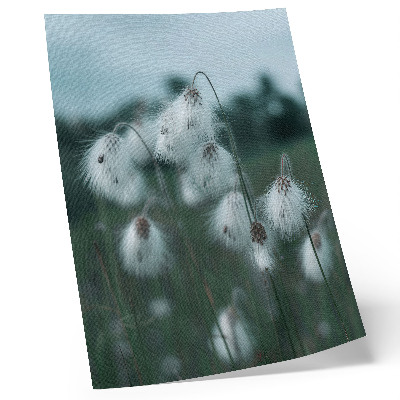 Póster Espigas de hierba etéreas, delicadeza, azul, paz