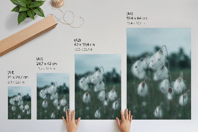 Póster Espigas de hierba etéreas, delicadeza, azul, paz