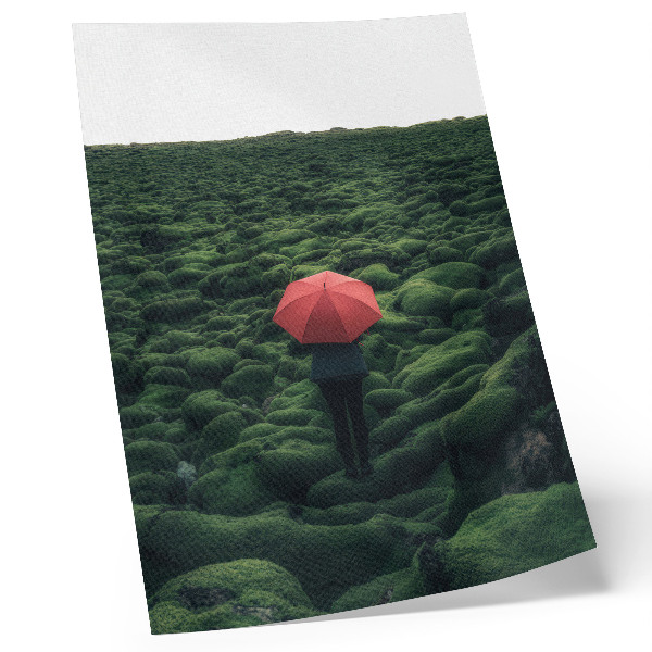 Póster Vegetación predominante, paz, aura misteriosa, contraste