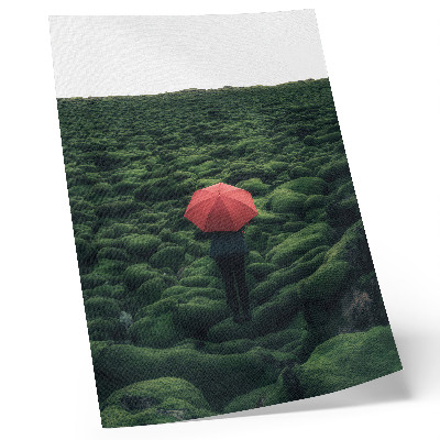 Póster Vegetación predominante, paz, aura misteriosa, contraste