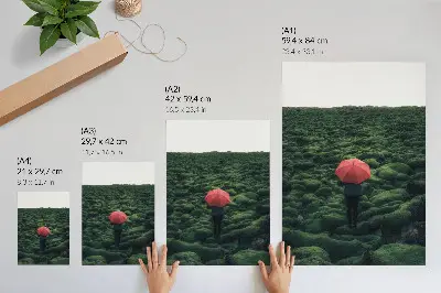 Póster con vegetación predominante y un aura de paz misteriosa