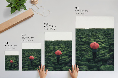 Póster Vegetación predominante, paz, aura misteriosa, contraste