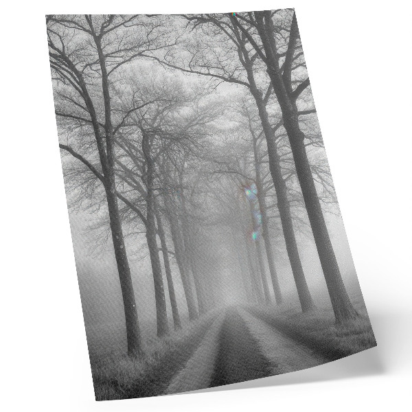 Póster con colores saturados Minimalismo moderno en Misty Tree Alley