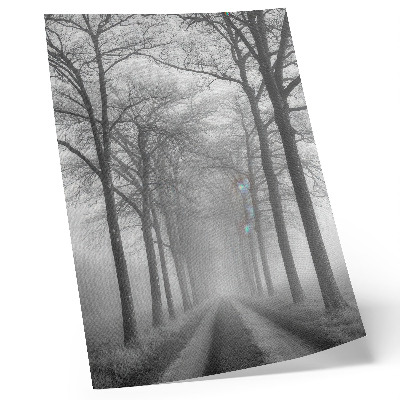 Póster con colores saturados Minimalismo moderno en Misty Tree Alley