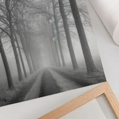 Póster Minimalismo moderno en Misty Tree Alley con colores saturados