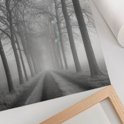 Póster con colores saturados Minimalismo moderno en Misty Tree Alley