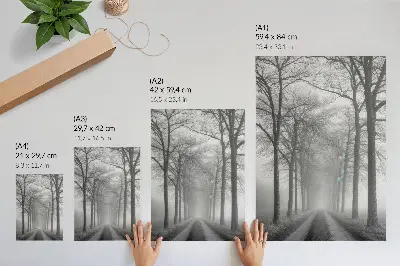 Póster Minimalismo moderno en Misty Tree Alley con colores saturados