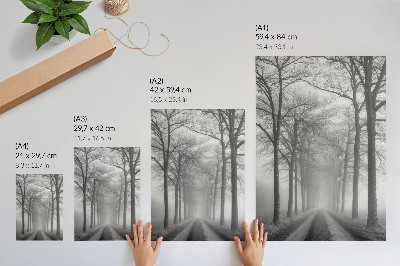 Póster con colores saturados Minimalismo moderno en Misty Tree Alley
