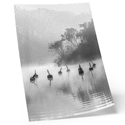 Lámina artística de alta calidad Paisaje en blanco y negro con boyas y niebla.