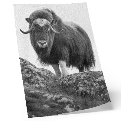 Póster elegancia natural cruda de animales en blanco y negro