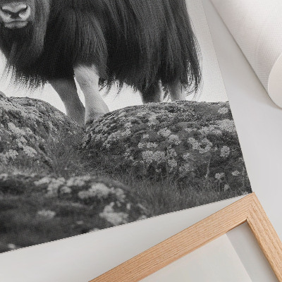 Póster elegancia natural cruda de animales en blanco y negro