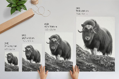 Póster elegancia natural cruda de animales en blanco y negro