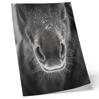 Póster con colores saturados Primer plano fotorrealista de la cara de un caballo en la nieve.