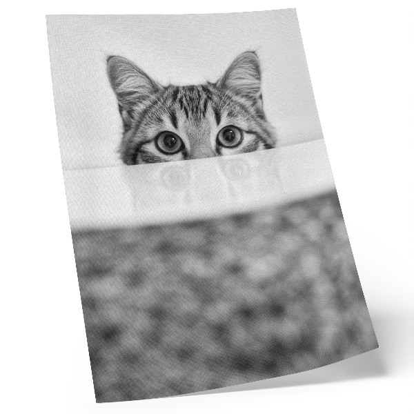 Póster Gato tras la superficie, minimalismo en blanco y negro