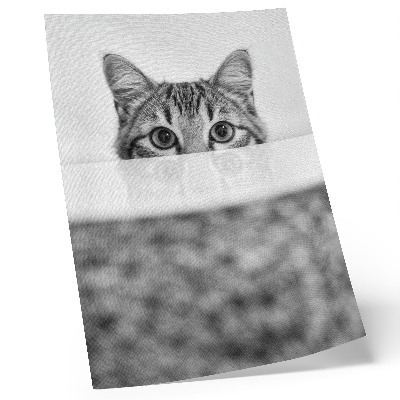 Póster Gato tras la superficie, minimalismo en blanco y negro
