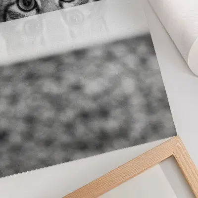Póster gato tras la superficie con diseño minimalista en blanco y negro