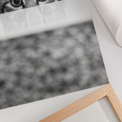 Póster Gato tras la superficie, minimalismo en blanco y negro